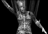 AV festival 2006, LifeLike