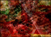 Data_cosm, Michael Takeo Magruder