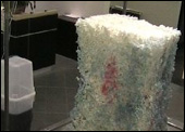 Emailerosion, Ethan Ham, Tony Muilemburg