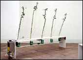 MachineAria, Ruben Coen Cagli
