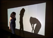 Shadow Bag, Scott Snibbe