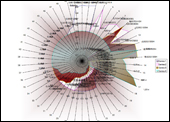 The Invisible Hand Machine, Readme100, Excel