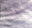 Francisco Lopez, Untitled # 164, Unsounds, Crónica, franciscolopez_untitled.jpg