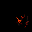Sturqen, Piranha, Kvitnu, Neural, César Rodrigues, electronica, industrial, noise, techno, David Arantes, Neural, Aurelio Cianciotta, Sturqen_Piranha.jpg