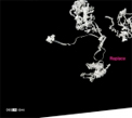 AAVV, Replace, Degem, experimental, audio art, contemporary music, digital, art, Aurelio Cianciotta, AAVV---Replace.jpg