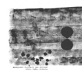 Masayoshi Fujita & Jan Jelinek, Bird, Lake, Objects, Faitiche, Faitiche03cd, acoustic/digital, audio art, experimental, field recordings, Aurelio Cianciotta, MasayoshiFujita&JanJelinek_BirdLakeObjects.jpg