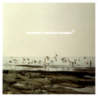 Terminal 11, Fractured Sunshine, Hymen, breakcore, experimental, Mike Castaneda, Jason Forrest, Cock Rock Disco, musica elettronica, electronics, drum machine, noise, Aurelio Cianciotta, terminal11_fracturedsunshine.jpg