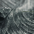 Molly Berg, Olivia Block, Steve Roden & Stephen Vitiello, Moss, 12k, acoustic-electronic, impro, field recordings, Aurelio Cianciotta, Molly Berg, Olivia Block, Steve Roden & Stephen Vitiello - Moss.jpg